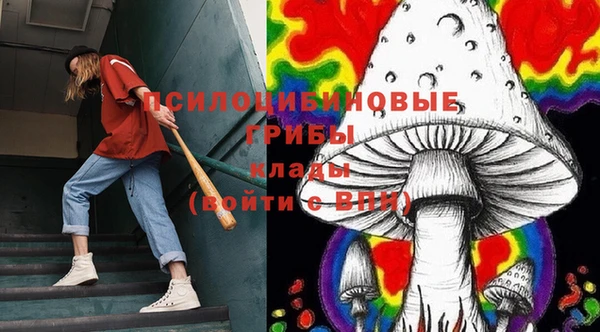 кокс Аркадак