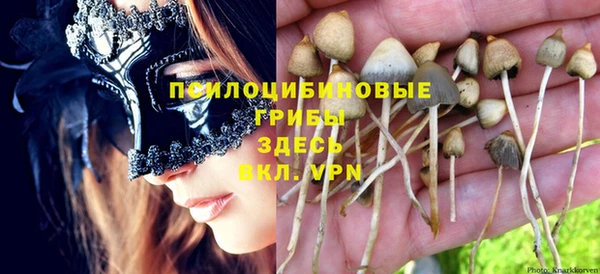 прущая мука Армянск