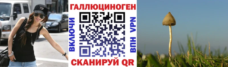 Псилоцибиновые грибы Psilocybine cubensis  Лангепас 